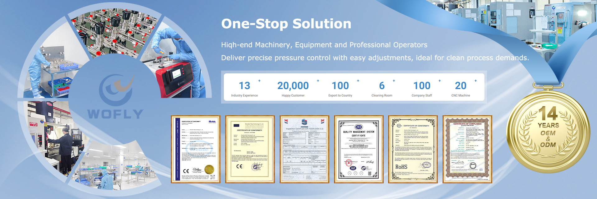 ΠΟΙΟΤΗΤΑ Ρυθμιστής πίεσης ανοξείδωτου εργοστάσιο