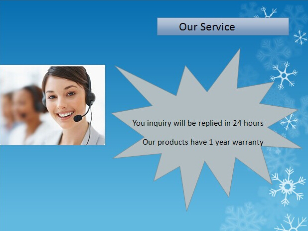 Μαγνητική βαλβίδα σωληνοειδών άρδευσης διαφραγμάτων AC24V για το νερό 7