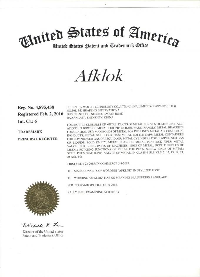 Αδιάβροχη βαλβίδα υψηλών σωληνοειδών SS 200Mpa 1/2» πειραματική λειτουργία 4